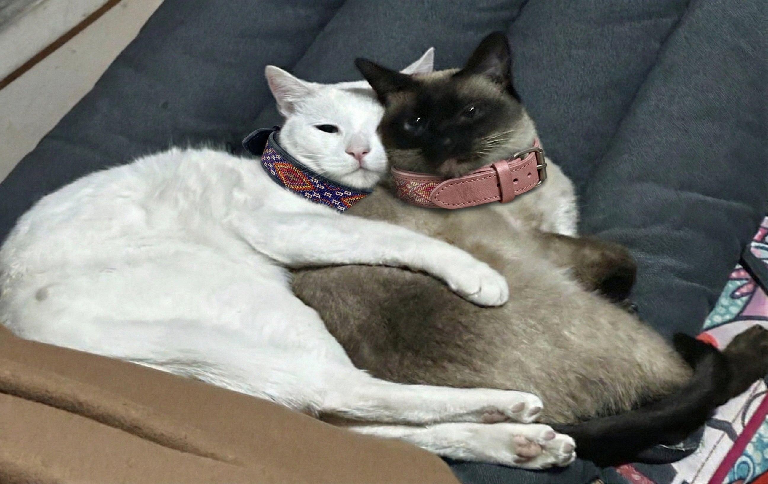 The Nyota Beaded Leather Cat Collar | Kenya El Yapımı Boncuklu Kedi Tasması